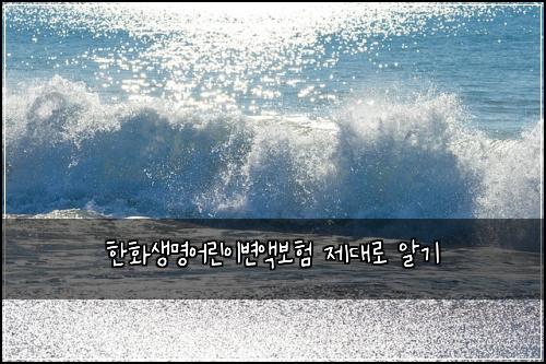 한화생명어린이변액보험 제대로 알기