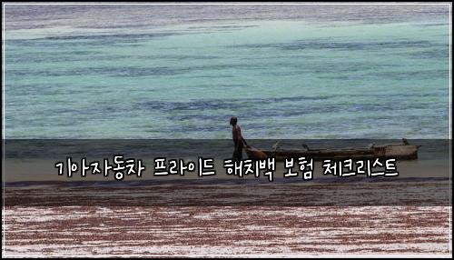 기아자동차 프라이드 해치백 보험 체크리스트