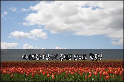 νμ보νκ°μ
μκΈ° λμΉλ©΄ μλμ νμ©ν