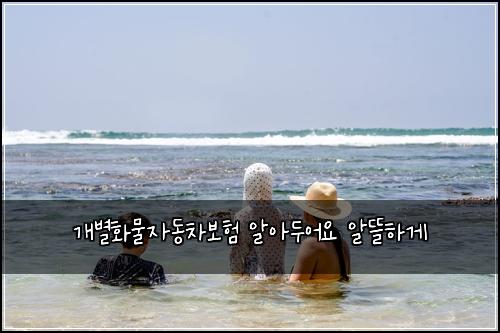 개별화물자동차보험 알아두어요  알뜰하게