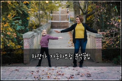 차량가 자동차보험 분석꿀팁 