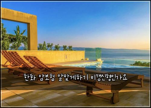 한화 암보험 알맞게하기  비갱신형인가요