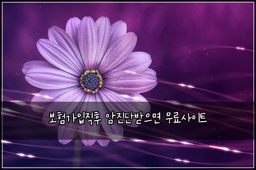 보험가입직후 암진단받으면 무료사이트