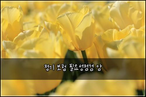 정기 보험 필요성점검  암