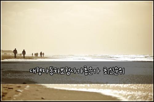 ๋ํ์๋์ฐจ๋ณดํ์ฌ๊ฐ์ด์๊ฐ ์ต์ ์์