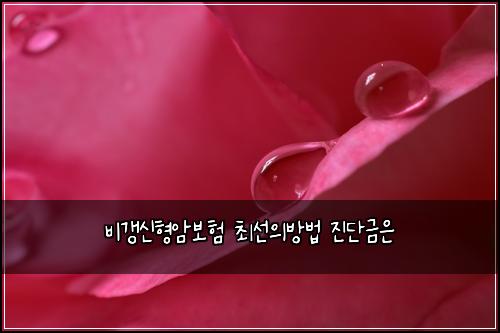비갱신형암보험 최선의방법  진단금은