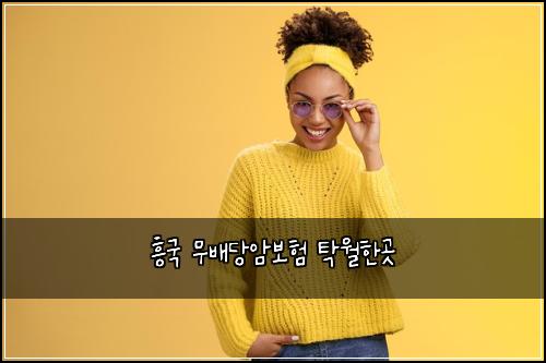 흥국 무배당암보험 탁월한곳 
