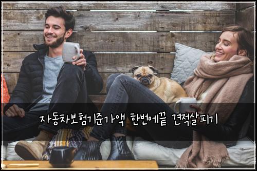 자동차보험기준가액 한번에끝 견적살피기