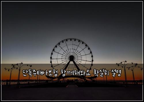 단독주태아보험 함께해봐요  확실히 설명