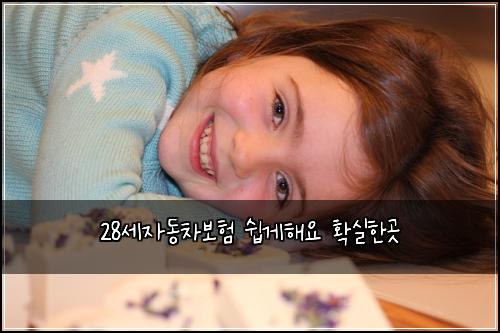 28μΈμλ차보ν μ½κ²ν΄μ νμ€νκ³³