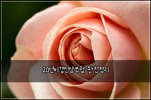 20년비갱신암보험 완전정리 