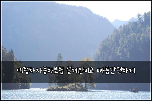대형차자동차보험 설계안비교  빠름간편하게