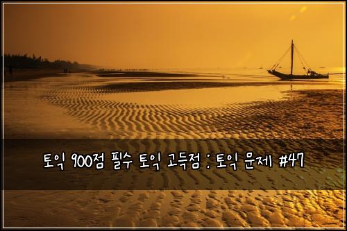 토익 900점 필수 토익 고득점 : 토익 문제 #47