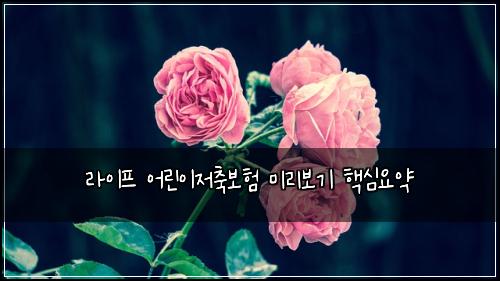 라이프 어린이저축보험 미리보기  핵심요약