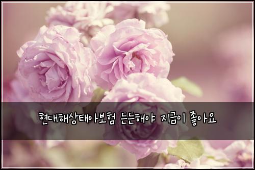 현대해상태아보험 든든해야  지금이 좋아요