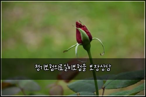 정기보험의료실비보험을 보장상담