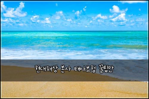 현대해상 본사 태아보험 꿀팁만 