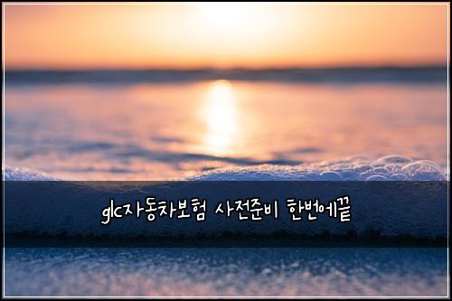 glc์๋์ฐจ๋ณดํ ์ฌ์ ์ค๋น ํ๋ฒ์๋