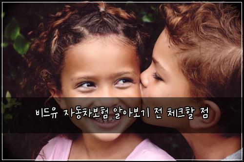 비드유 자동차보험 알아보기 전 체크할 점