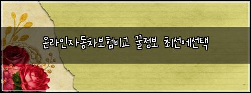 ์จ๋ผ์ธ์๋์ฐจ๋ณดํ๋น๊ต ๊ฟ์ ๋ณด ์ต์ ์์ ํ