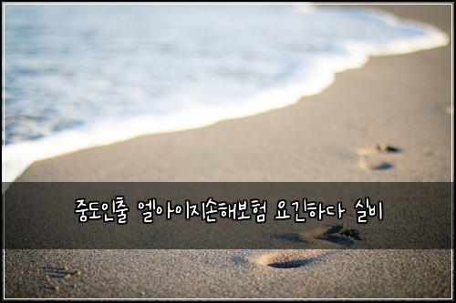 중도인출 엘아이지손해보험 요긴하다  실비