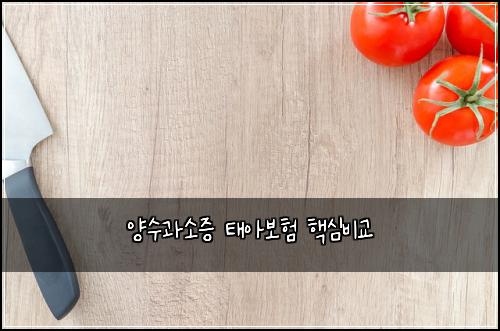 양수과소증 태아보험 핵심비교 