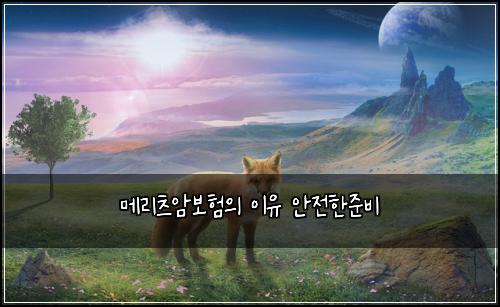 메리츠암보험의 이유 안전한준비