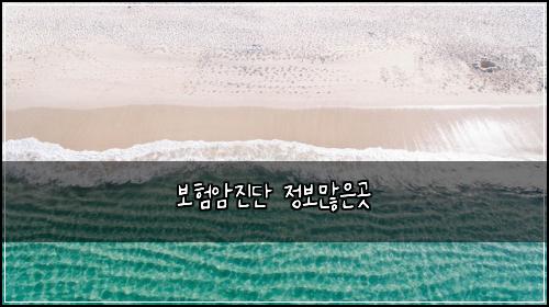 보험암진단 정보많은곳