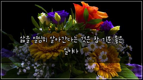 ์ถ์ ์ด์ฌํ ์ด์๊ฐ๋ค๋ ๊ฒ์ ์ฐธ ๊ธฐ๋ถ ์ข์ ์ผ์ด๋ค