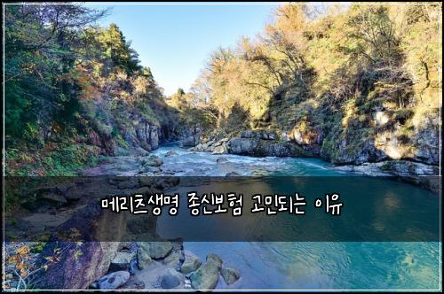메리츠생명 종신보험 고민되는 이유