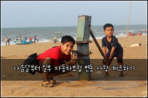 다음달부터 일부 자동차보험 변동 사항 체크하기