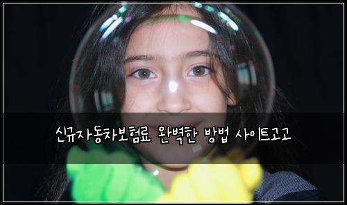 신규자동차보험료 완벽한 방법 사이트고고