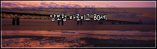 암보험 바로비교  80세