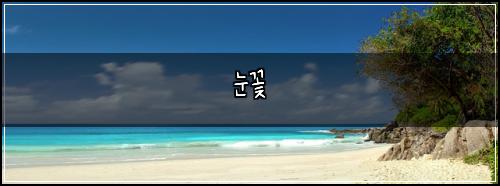 눈꽃