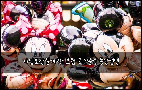 ์ฌ๋ง๋ณด์ฅ์ค๊ณ์ ๊ธฐ๋ณดํ ์ต์ ๋ถ์ ๋์์๋ช