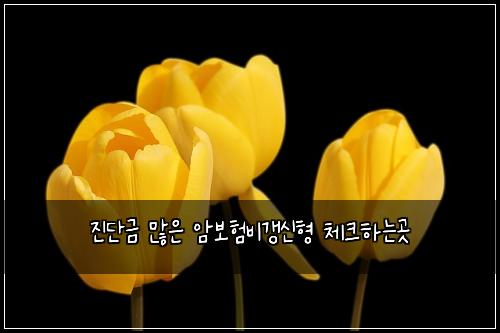 진단금 많은 암보험비갱신형 체크하는곳