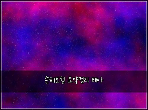 손해보험 요약정리  태아