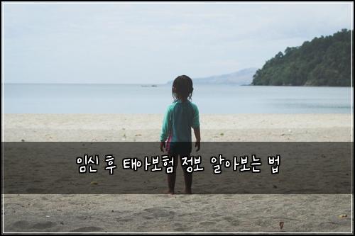 임신 후 태아보험 정보 알아보는 법