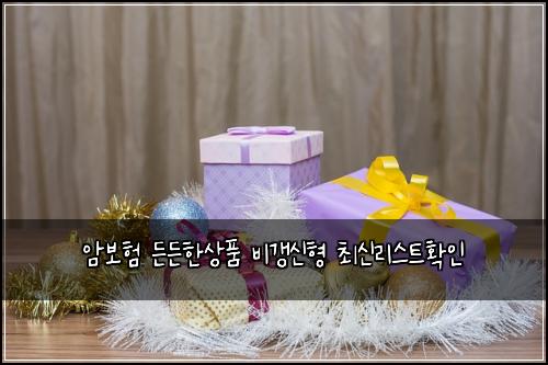 암보험 든든한상품  비갱신형 최신리스트확인
