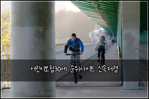 어린이보험30세 순위사이트 신속저렴