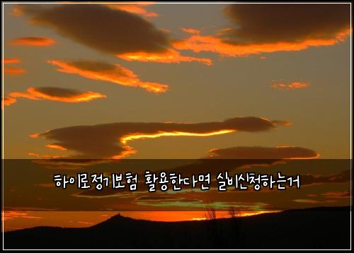 하이로정기보험 활용한다면  실비신청하는거