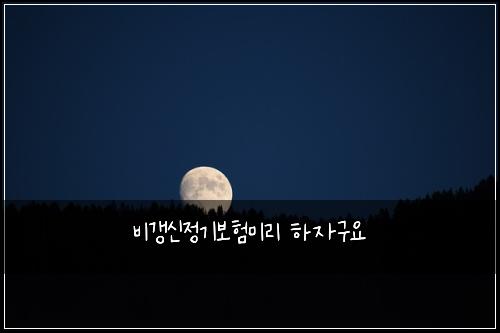 비갱신정기보험미리 하자구요