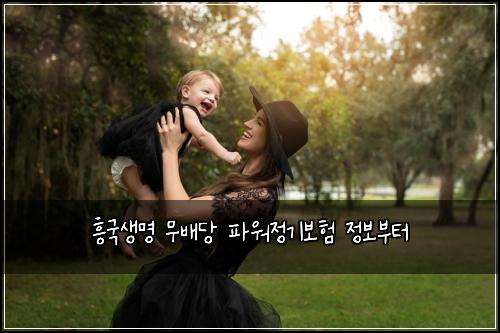 흥국생명 무배당 파워정기보험 정보부터 