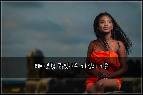 태아보험 롸잇나우  가입의 기준