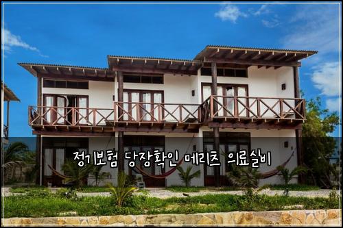 정기보험 당장확인  메리츠 의료실비