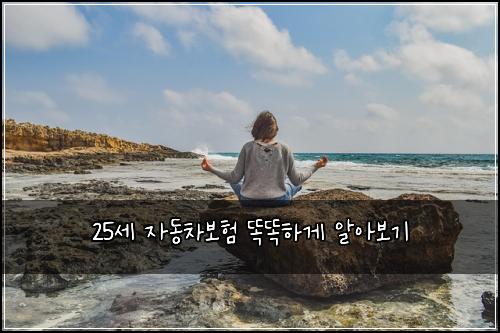 25세 자동차보험 똑똑하게 알아보기