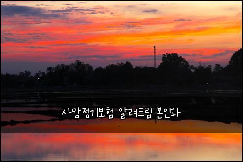 ์ฌ๋ง์ ๊ธฐ๋ณดํ ์๋ ค๋๋ฆผ ๋ณธ์ธ๊ณผ