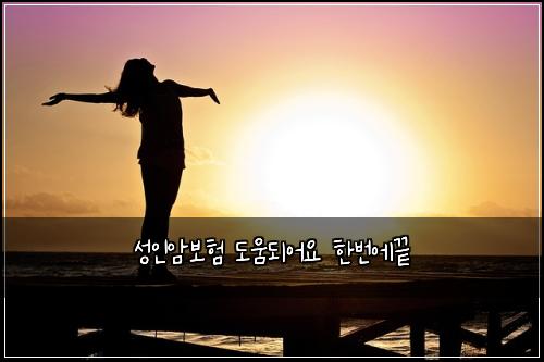 성인암보험 도움되어요  한번에끝