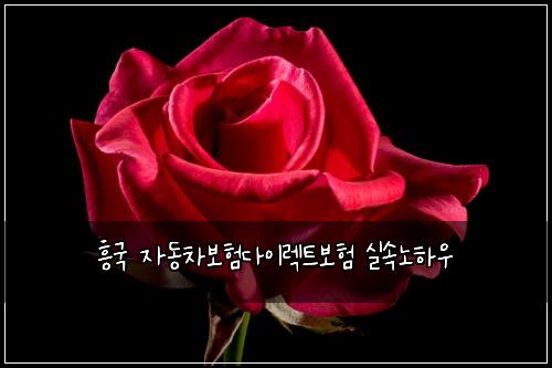 흥국 자동차보험다이렉트보험 실속노하우