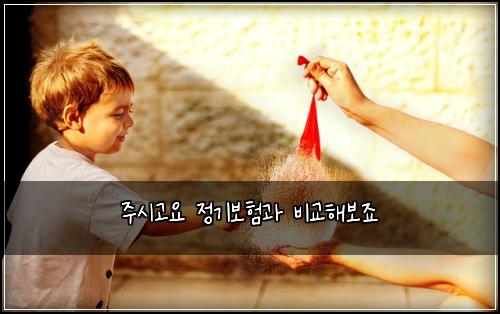 주시고요 정기보험과 비교해보죠